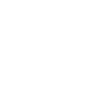 BIM model